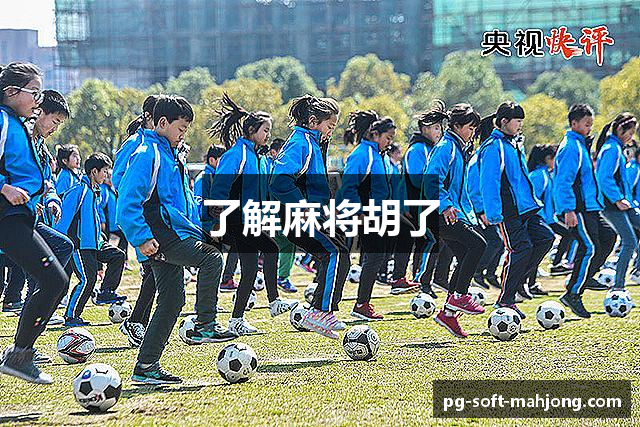 了解麻将胡了